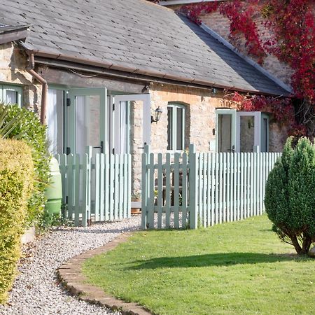 Daisy Cottage Пейнтън Екстериор снимка