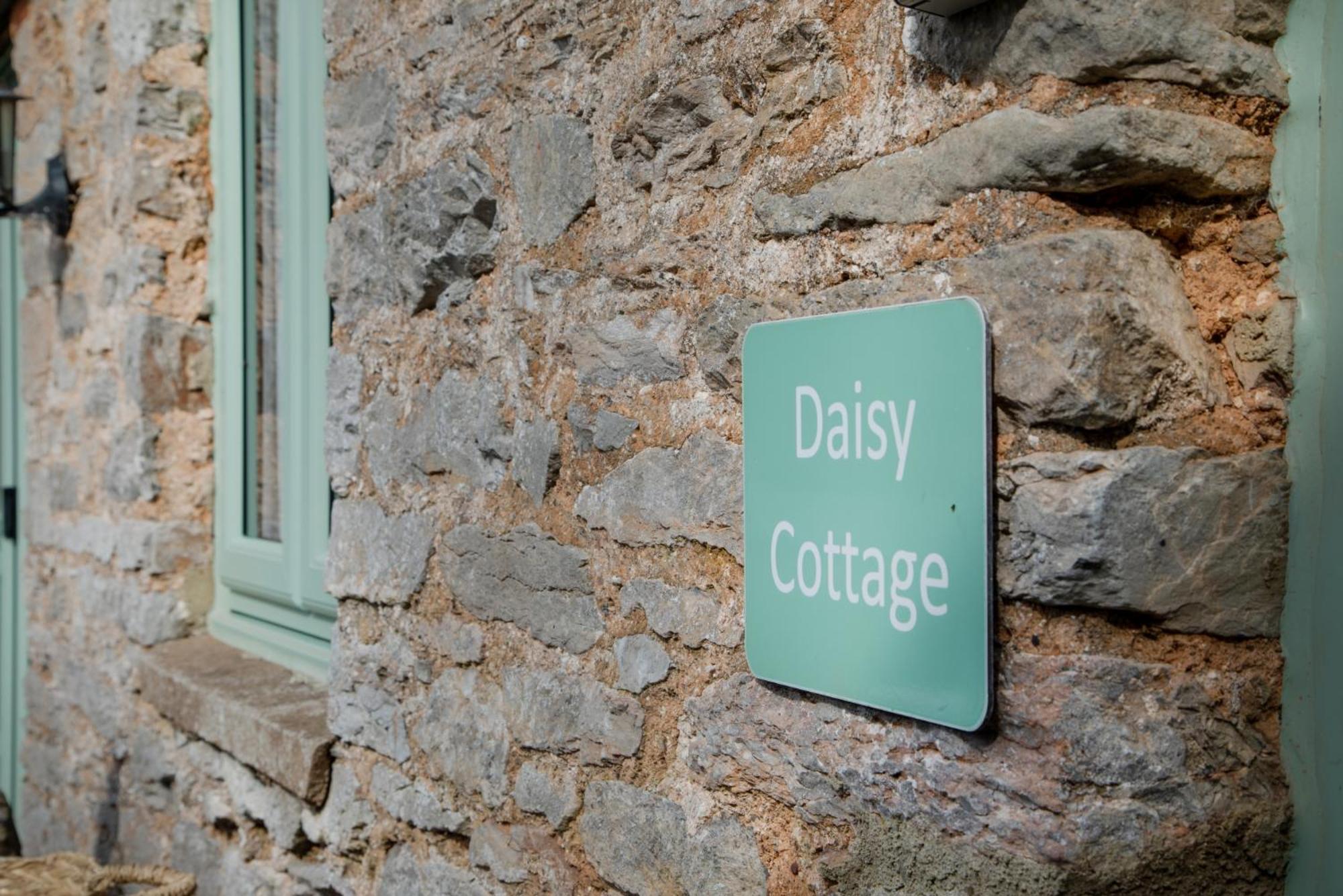 Daisy Cottage Пейнтън Екстериор снимка